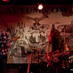 Autumn Owls @ NX35 / Dan's Silverleaf